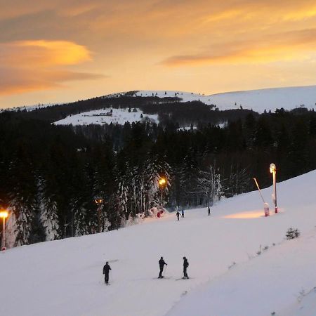 Ma Montagne Chic Apartment La Bresse Bagian luar foto
