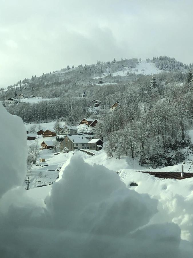 Ma Montagne Chic Apartment La Bresse Bagian luar foto