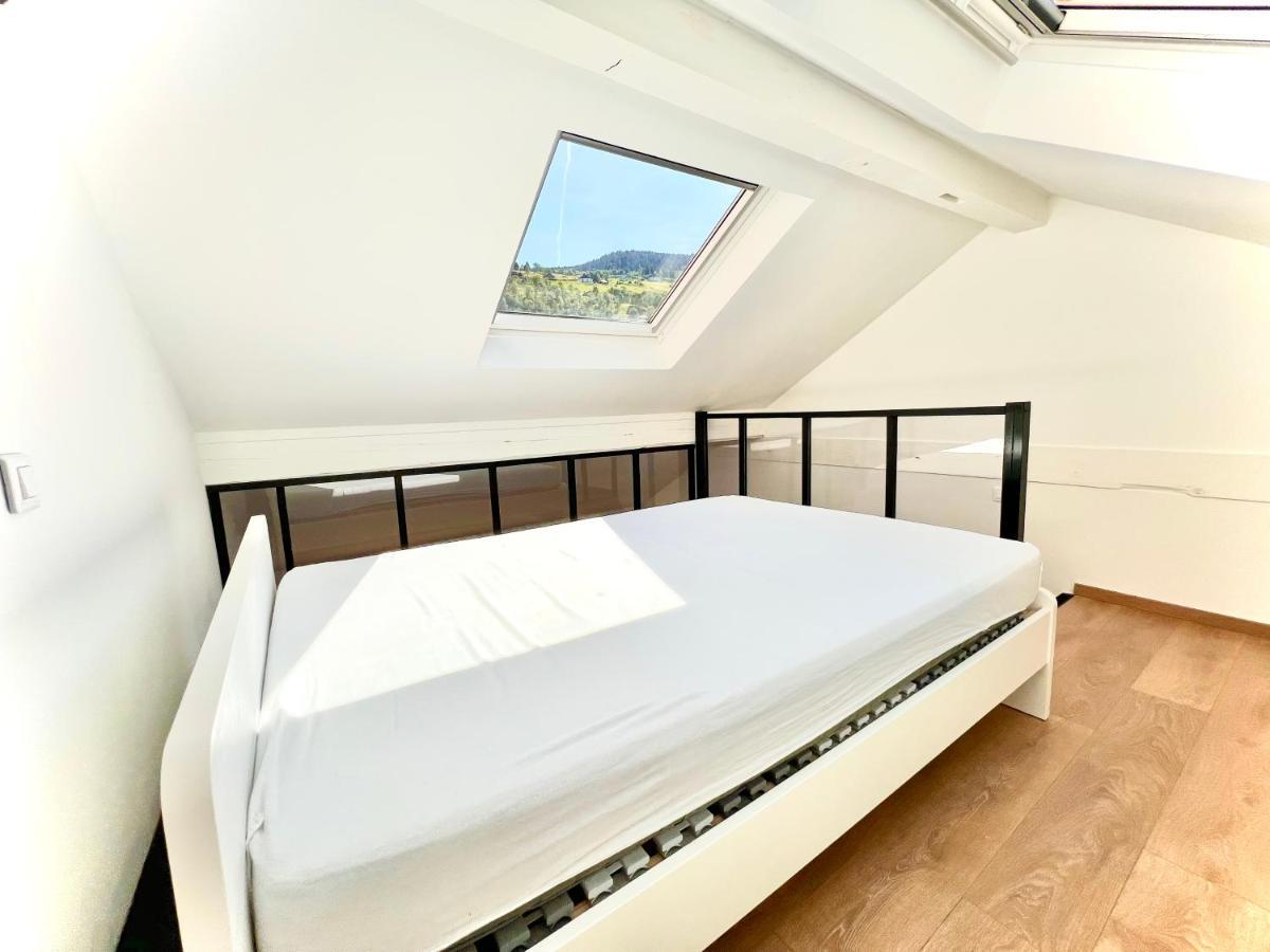 Ma Montagne Chic Apartment La Bresse Bagian luar foto