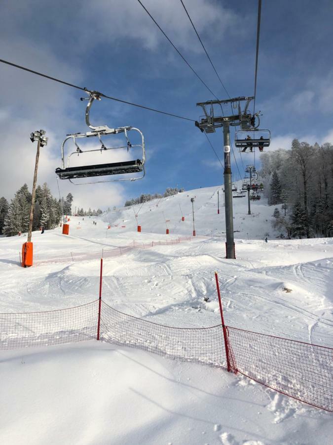 Ma Montagne Chic Apartment La Bresse Bagian luar foto